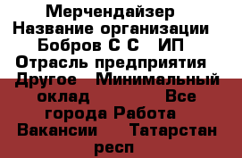 Мерчендайзер › Название организации ­ Бобров С.С., ИП › Отрасль предприятия ­ Другое › Минимальный оклад ­ 17 000 - Все города Работа » Вакансии   . Татарстан респ.